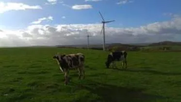 Unternehmen Pferdehof Zens - Gut Kraterpfuhler Hof