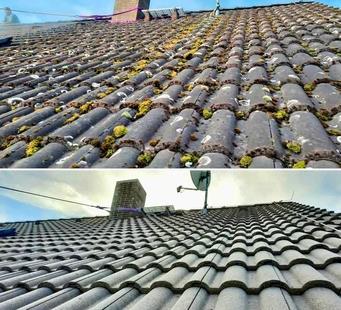 Galeriebild 0542316001743163804_790007.jpg