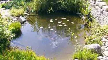 Unternehmen Gartenbau Oste