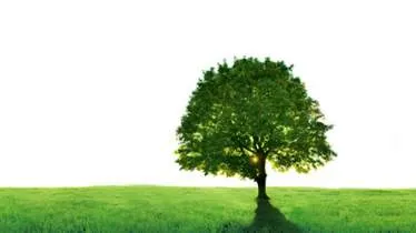 Unternehmen DISPO Personaldienstleistungen