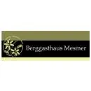 Firmenlogo von Berggasthaus Mesmer