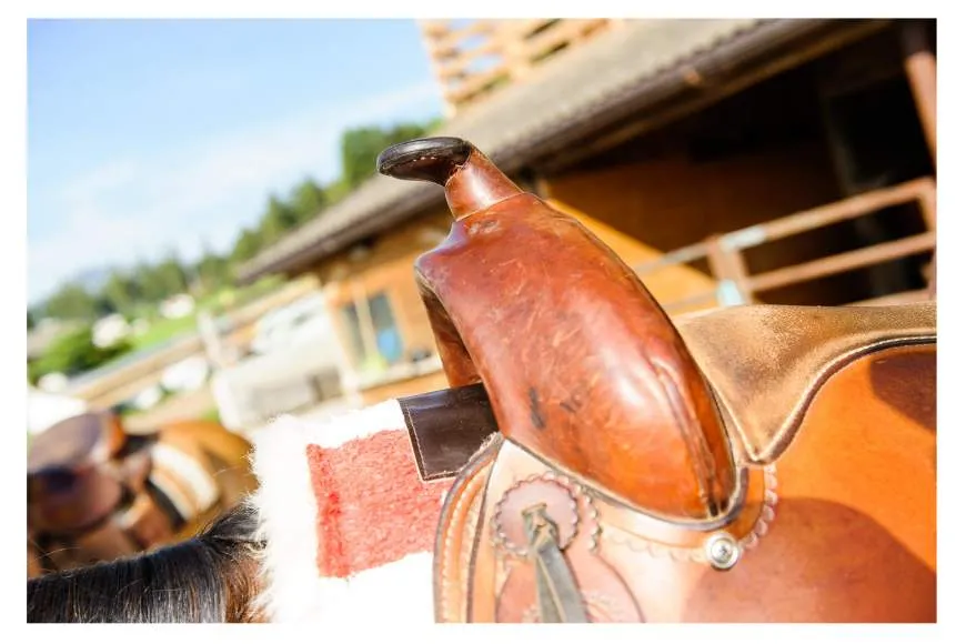 Galeriebild ladinserhof-3-1-1531461624.jpg