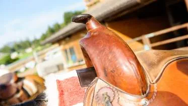 Unternehmen Ladinserhof