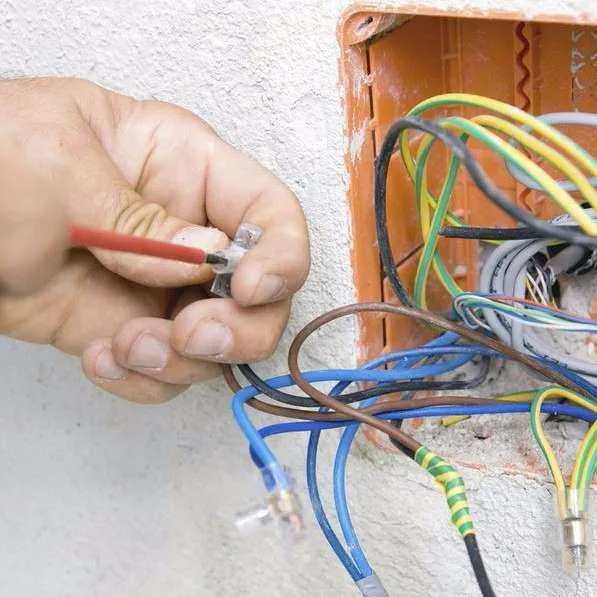 Unternehmen Elektro Linn