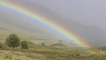 Unternehmen Körpersinn GmbH - Monika Hammer