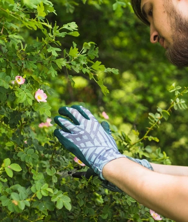 Galeriebild 0036565001748001113_790117.jpg