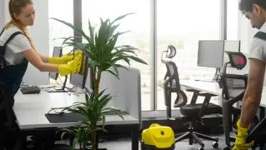 Unternehmen Willis-Dienstleistungen