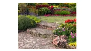 Unternehmen NB-Hausmeisterservice & Dienstleistungen