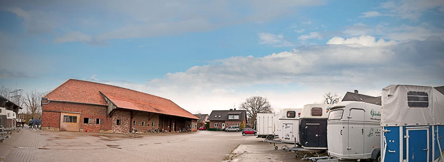 Unternehmen Reiterhof & Pferdepension Hackenesch