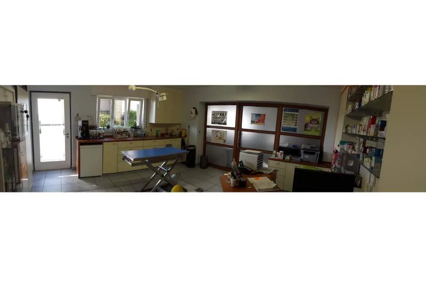 Galeriebild cabinet-dr.-Blasen-4.jpg