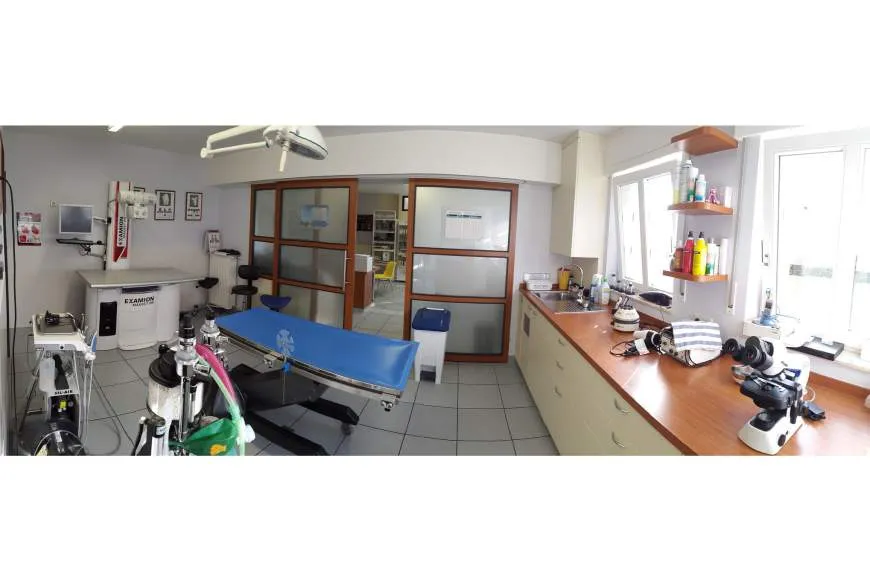 Galeriebild cabinet-dr.-Blasen-7.jpg