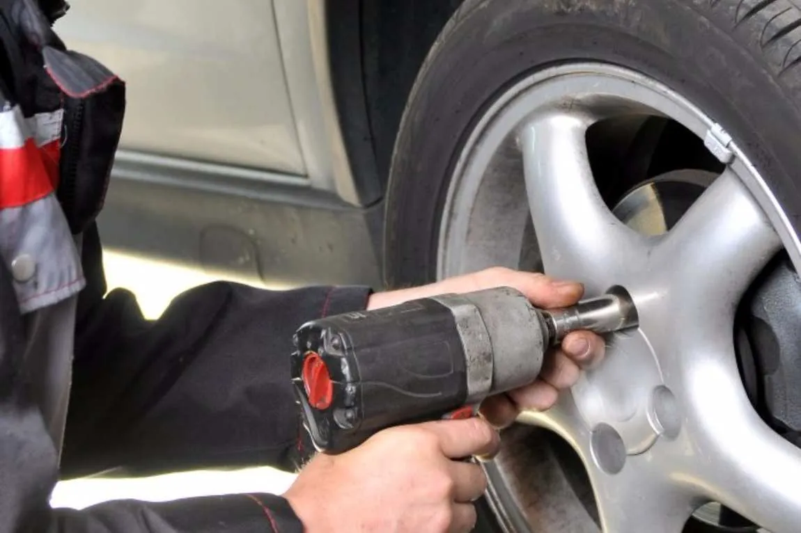 Galeriebild scale1.jpg