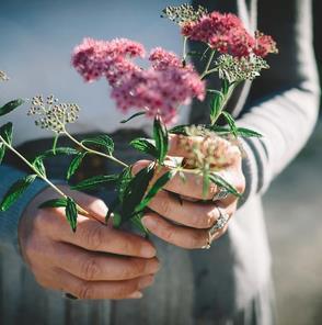 Galeriebild 0004902001745488506_790047.jpg