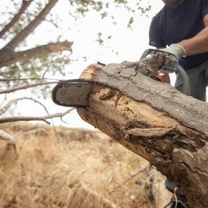 Galeriebild 0021304001745488506_790047.jpg