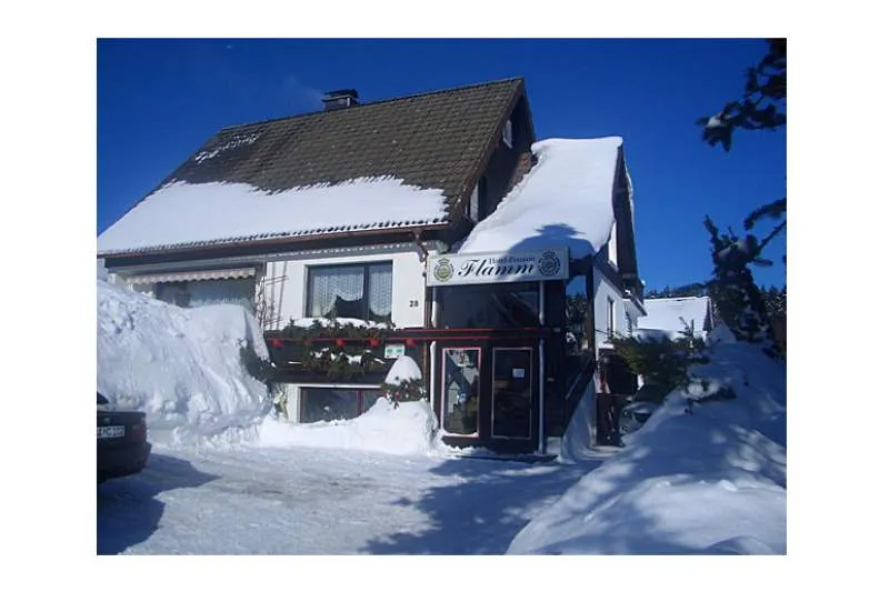 Galeriebild hotel-pension-christel-flamm-haus-im-winter-01-1-1508494563.jpg