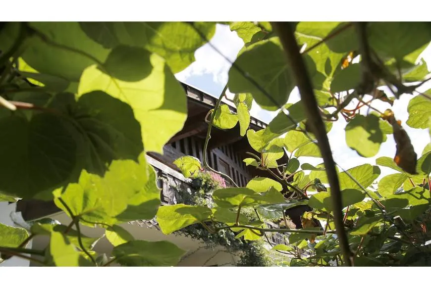 Galeriebild residence-lenzenau-8.jpg