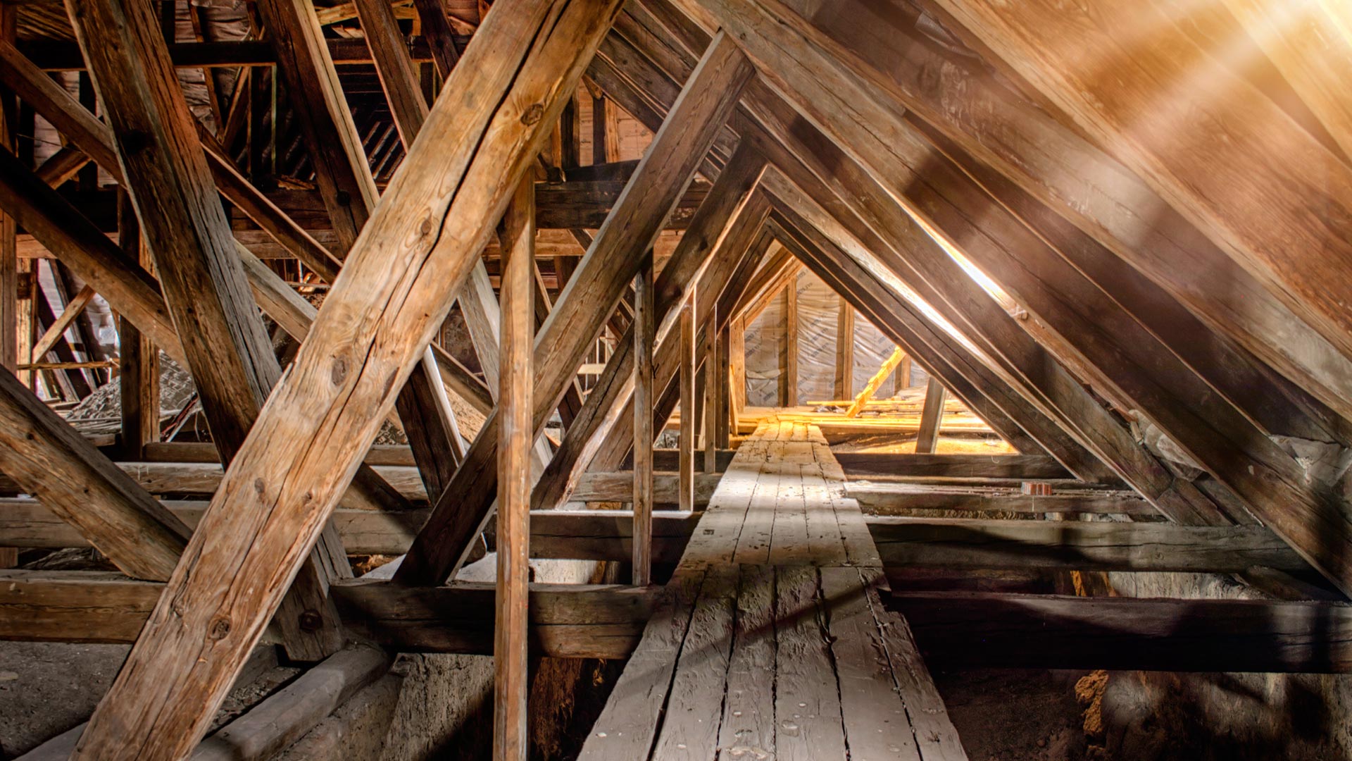 Galeriebild 0129751001748001933_790118.jpg