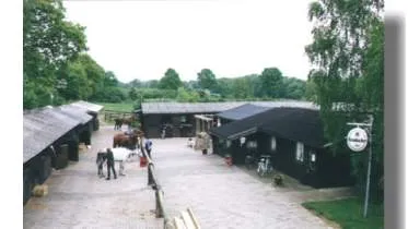 Unternehmen Reitstall - Diana