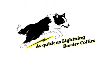 Unternehmen As quick as Lightning Border Collies - Inh.: Raphael Reimann