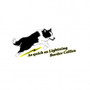 Firmenlogo von As quick as Lightning Border Collies - Inh.: Raphael Reimann