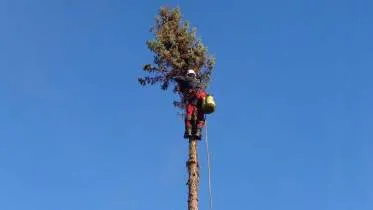 Unternehmen Gartenbau & Baumpflege A. Hecher