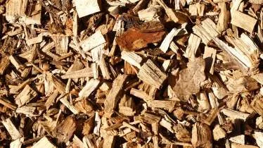 Unternehmen Holztransporte und Holzhandel Kauer