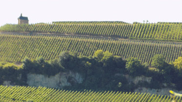 Unternehmen Domaine Mathes