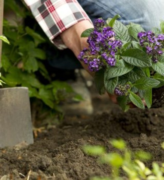 Unternehmen FSD Gebäudeservice GmbH