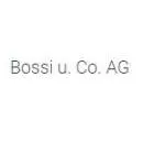 Firmenlogo von Bossi u. Co. AG