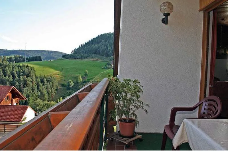 Galeriebild haus-hanl-3-sterne-aussicht.jpg