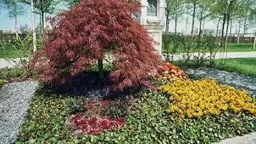 Unternehmen Karl-Ernst Holst Friedhofsgärtnerei - Peter Holst