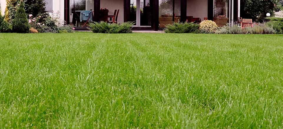 Galeriebild 0826382001742366934_789992.jpg