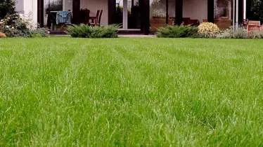 Unternehmen F² Lohnunternehmen GbR