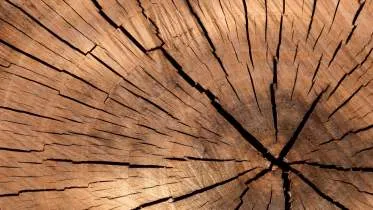 Schreinerei Meer GmbH