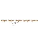Firmenlogo von Bungee Jumper´s English Springer Spaniels
