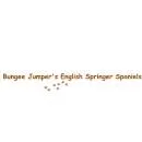Firmenlogo von Bungee Jumper´s English Springer Spaniels