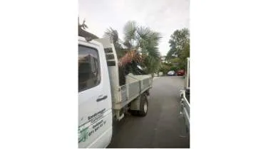 Unternehmen Sonderegger Gartenbau GmbH