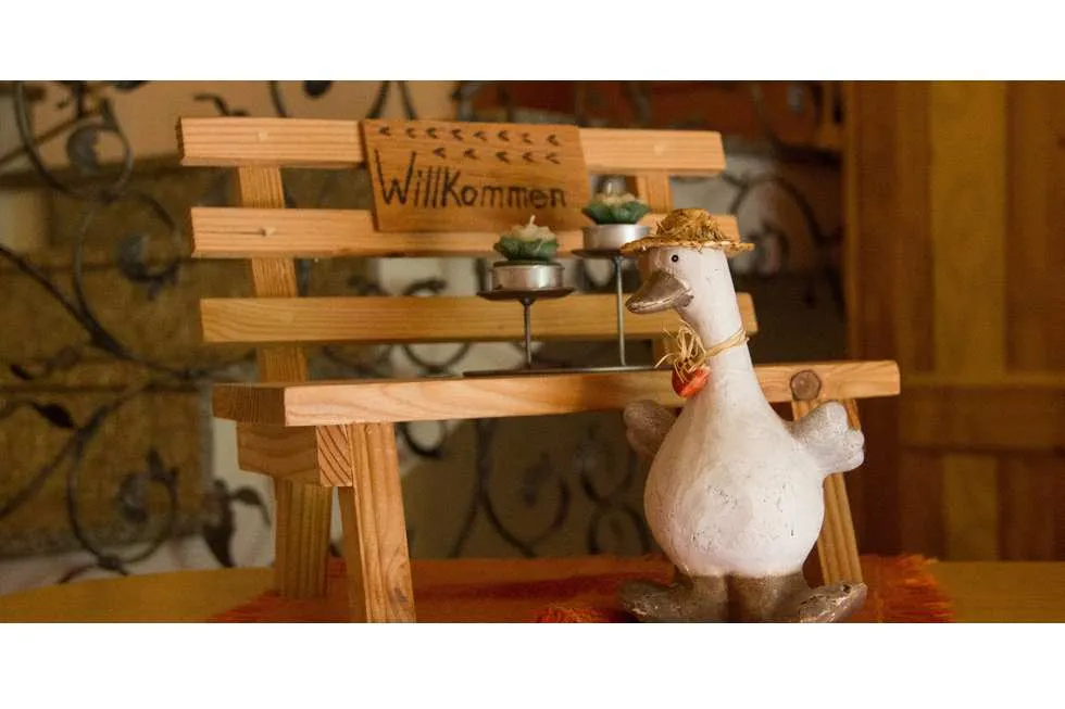 Galeriebild 0000000132-980x500-c-x50-y50.jpg