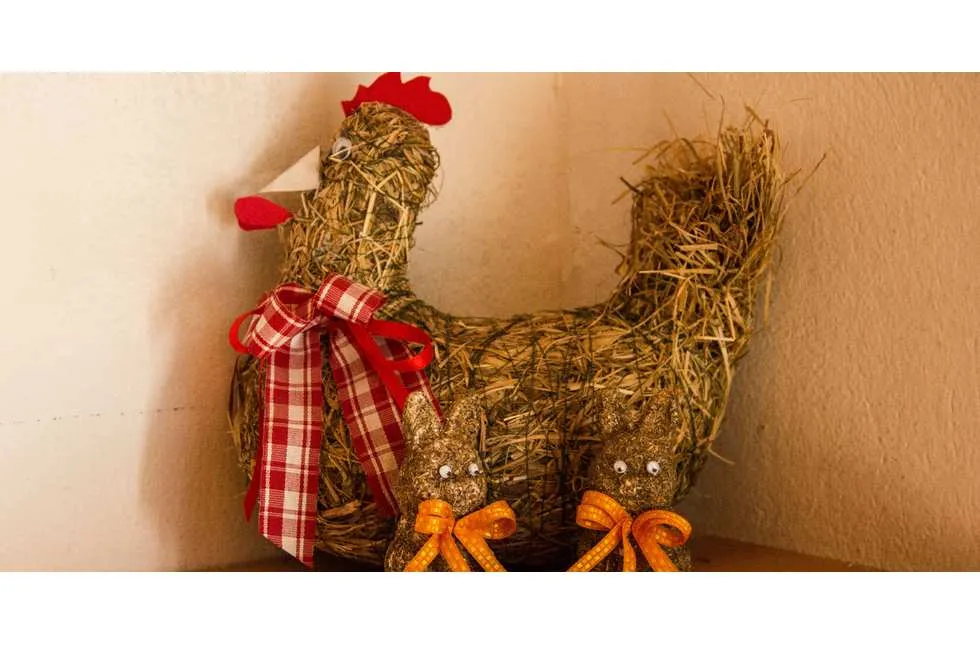 Galeriebild 0000000137-980x500-c-x50-y50.jpg