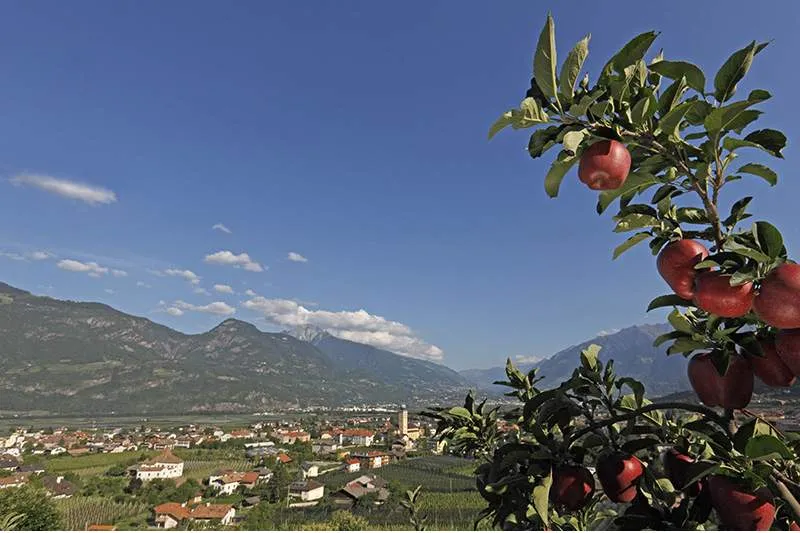 Galeriebild landhaus-am-gries-1-1529663082.jpg