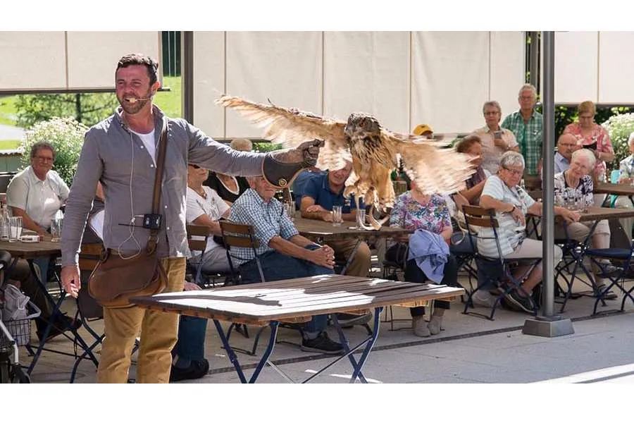 Falknerei Galina Eule