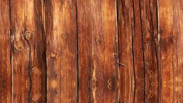 Unternehmen Erik Lanser GmbH