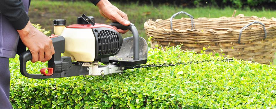 Galeriebild 0715168001748238879_790119.jpg