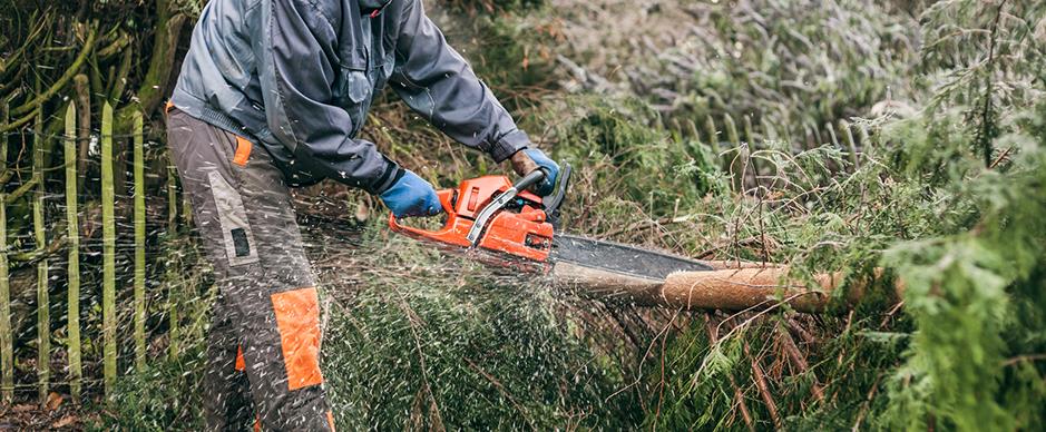 Galeriebild 0731534001748238879_790119.jpg