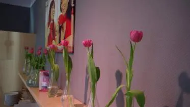 Unternehmen Moderne Wohnraumgestaltung Ingenbold