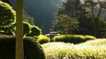 Unternehmen LIGA Liegenschafts & Gartenpflege Anstalt - Beck Fritz Gartenpflege Hauswartungen Liegenschaftenpflege