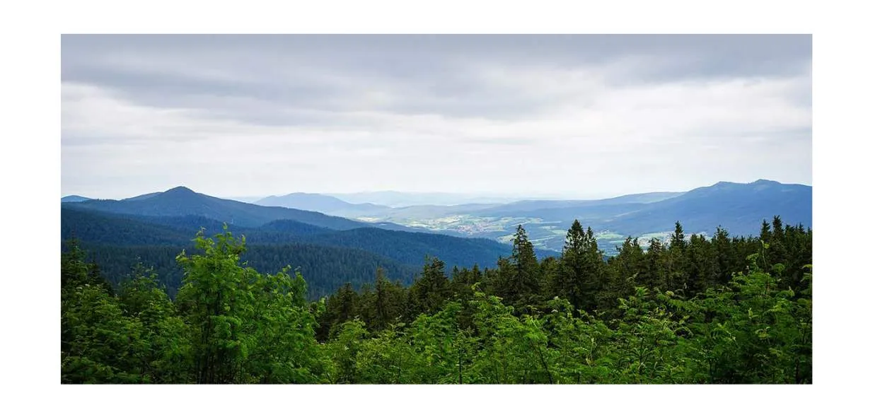 Galeriebild cropped_1740470642_0989434001740470624_789940.jpg