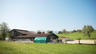 Unternehmen Stall Mittelberg