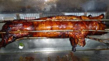 Unternehmen Catering & Spanferkel Grillservice Fries