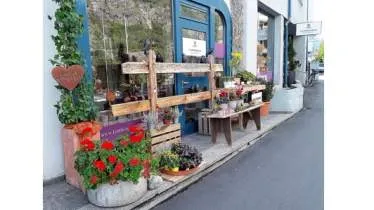 Unternehmen Lambrigger Blumenwelt